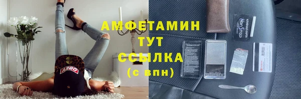 сатива Мензелинск