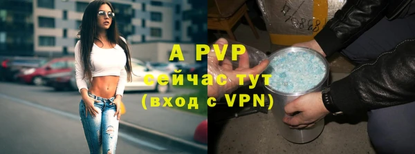 дмт Магадан