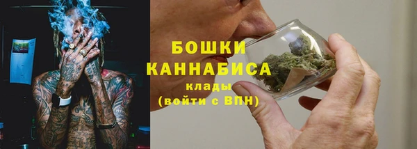 гидропоника Лагань